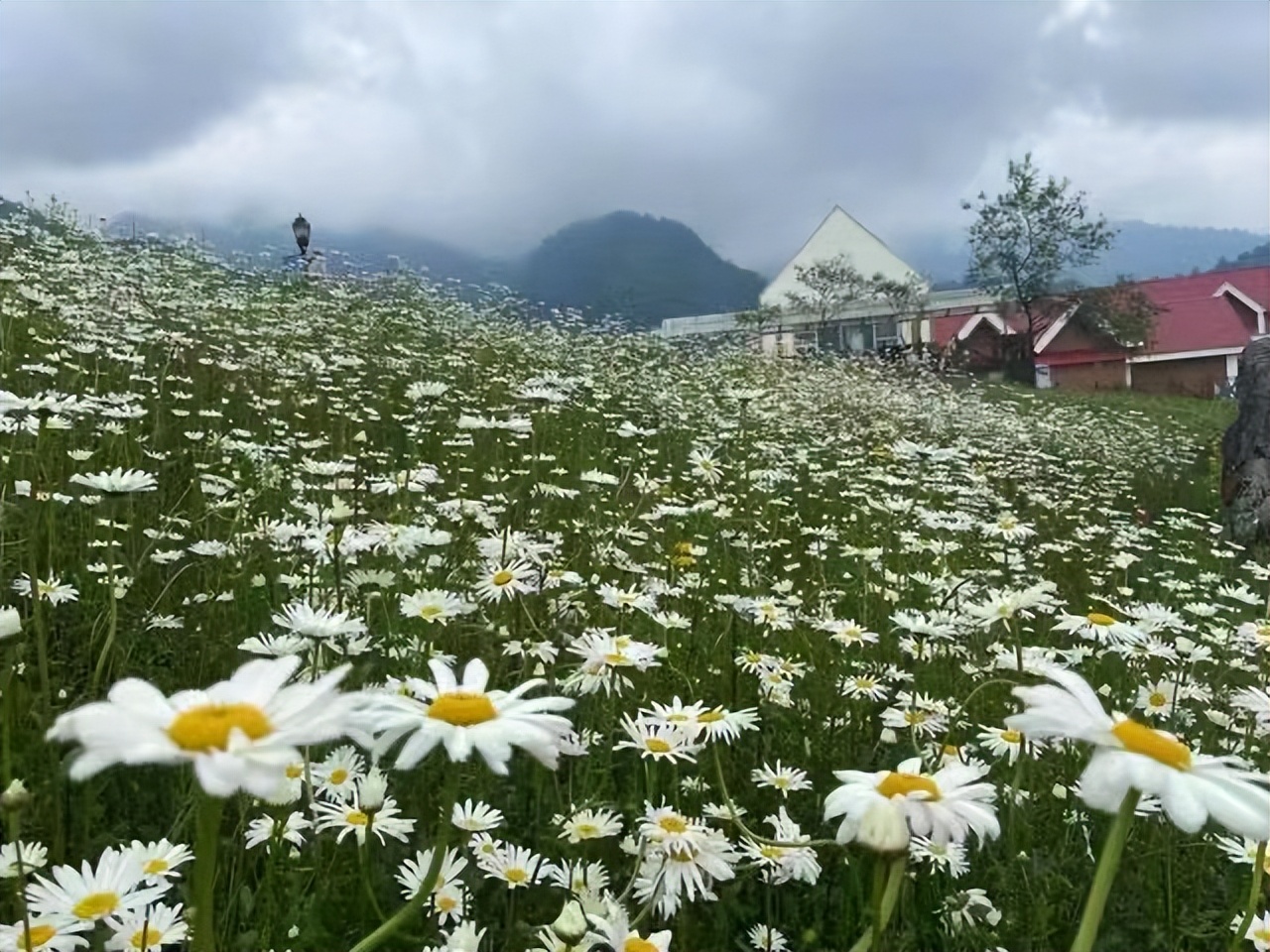 毕业旅行贵州景点攻略,成都毕业旅行的最佳去处最新报价