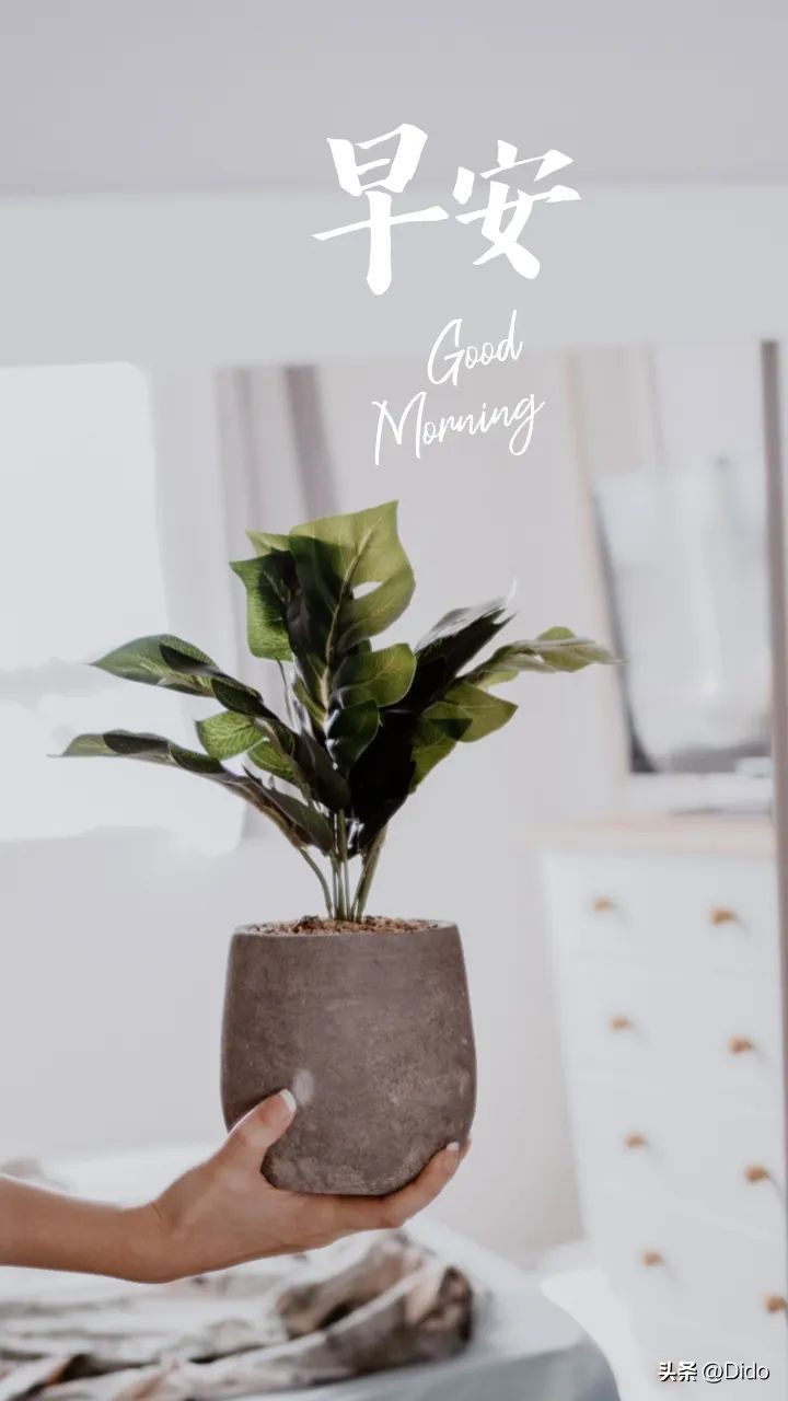 新的一天努力开心,愿你全力以赴的努力赚钱不留遗憾