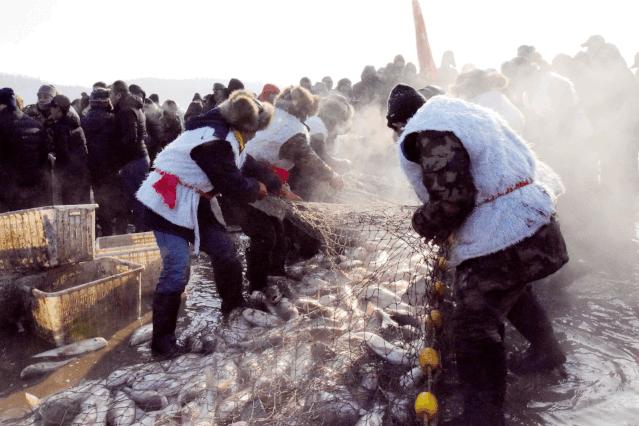 为什么说兴凯湖大白鱼是世界名鱼,兴凯湖大白鱼新鲜美味