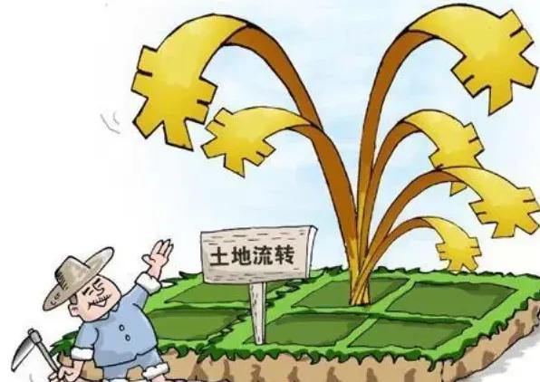 郑贷‖今天谈谈冷门的农村土地抵押*款贷**？