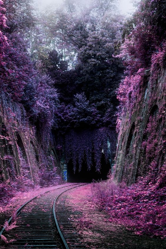 又到红叶观赏时刻,赏红叶十大绝佳去处