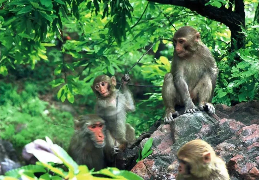 最好的风景是山里走走,最好的旅游风景在路上