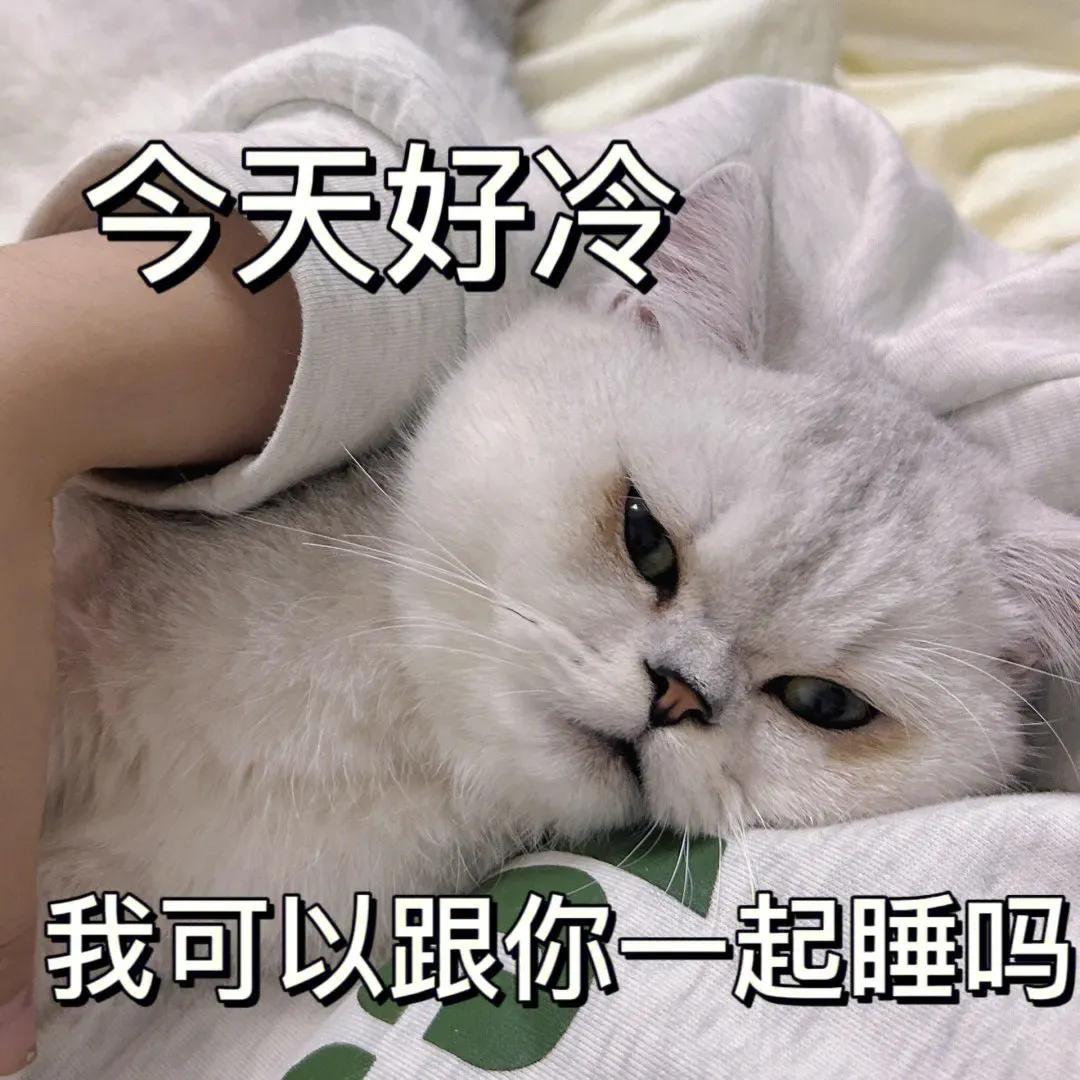 吃瓜群众表情包二次元,吃瓜群众表情包是什么意思