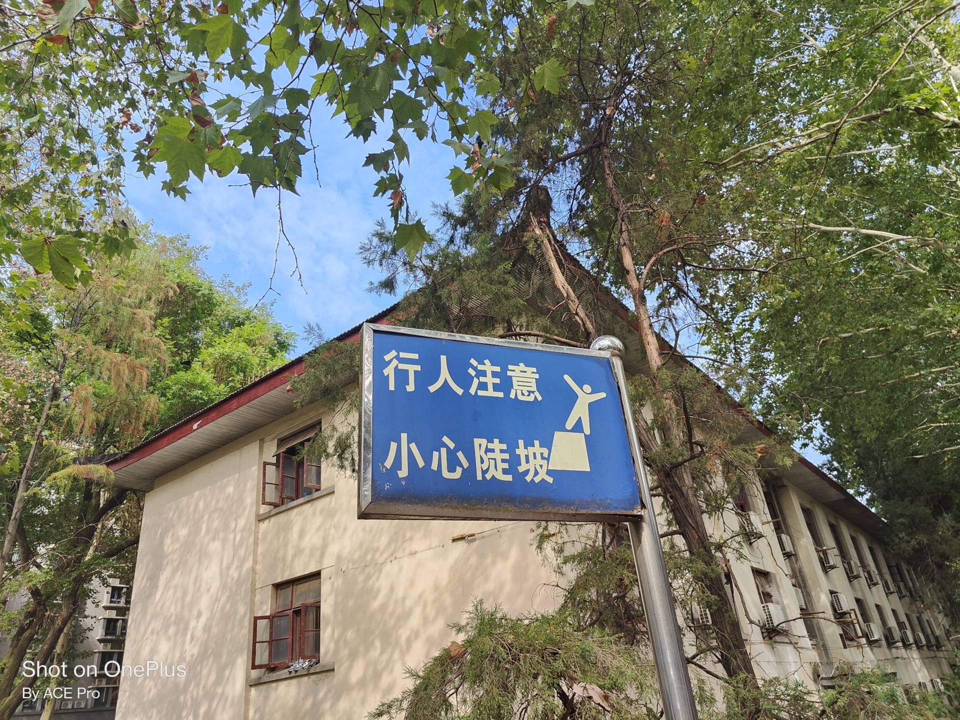 一加acepro学生,一加acepro原神评测