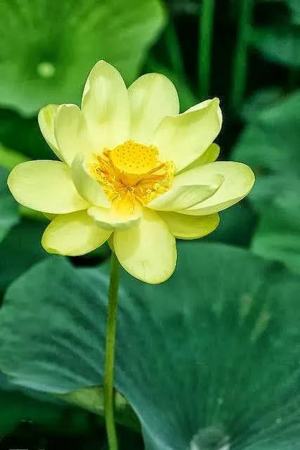 春树的人生格言书籍,人生书籍里的经典语录大全