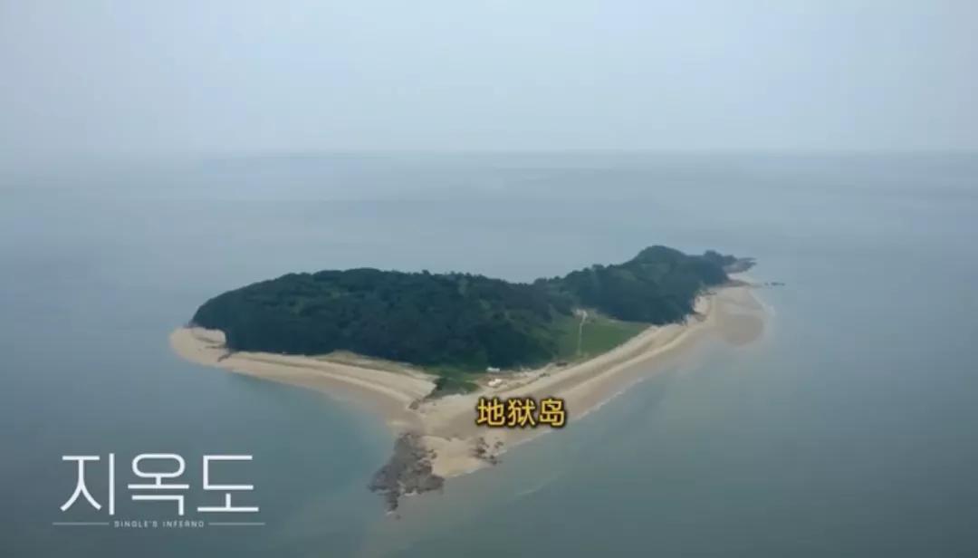 2022第一个现象级顶流,女顶流最新消息