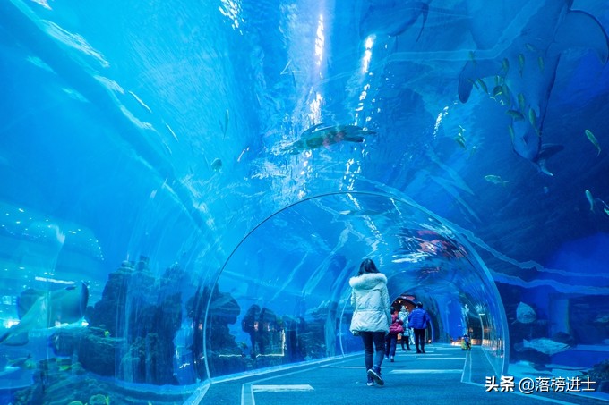 成都浩海立方的海洋馆游玩攻略,浩海立方成都海洋馆世界之最
