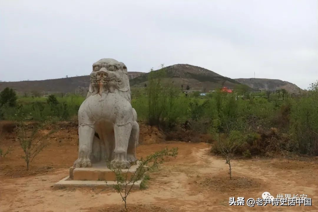 诗意中国诗忆中华第十八集唐朝（上集）唐朝所有皇帝简史与文化