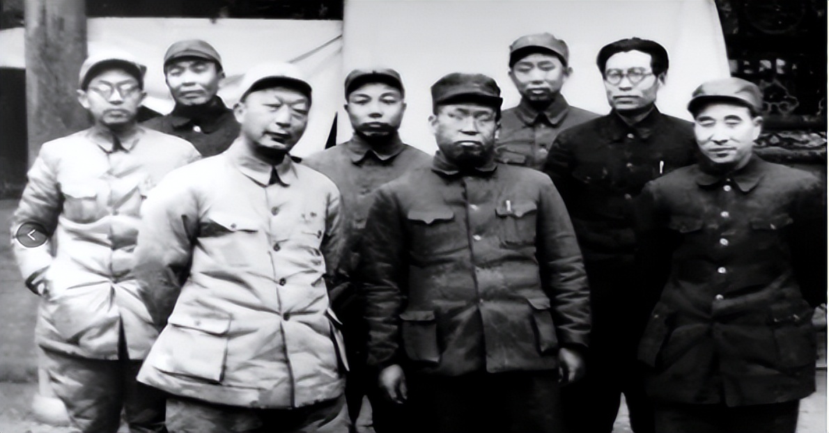 东野西野华野中野华北介绍,东野西野中野华野