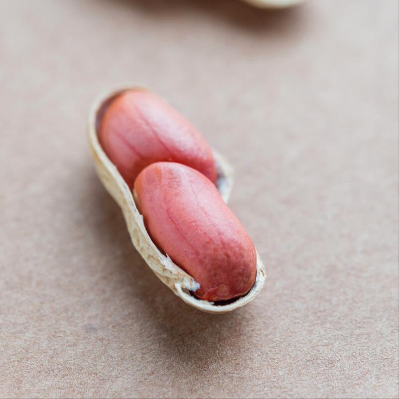 血小板偏低吃什么补得快,哪里有治疗血小板低的老中医