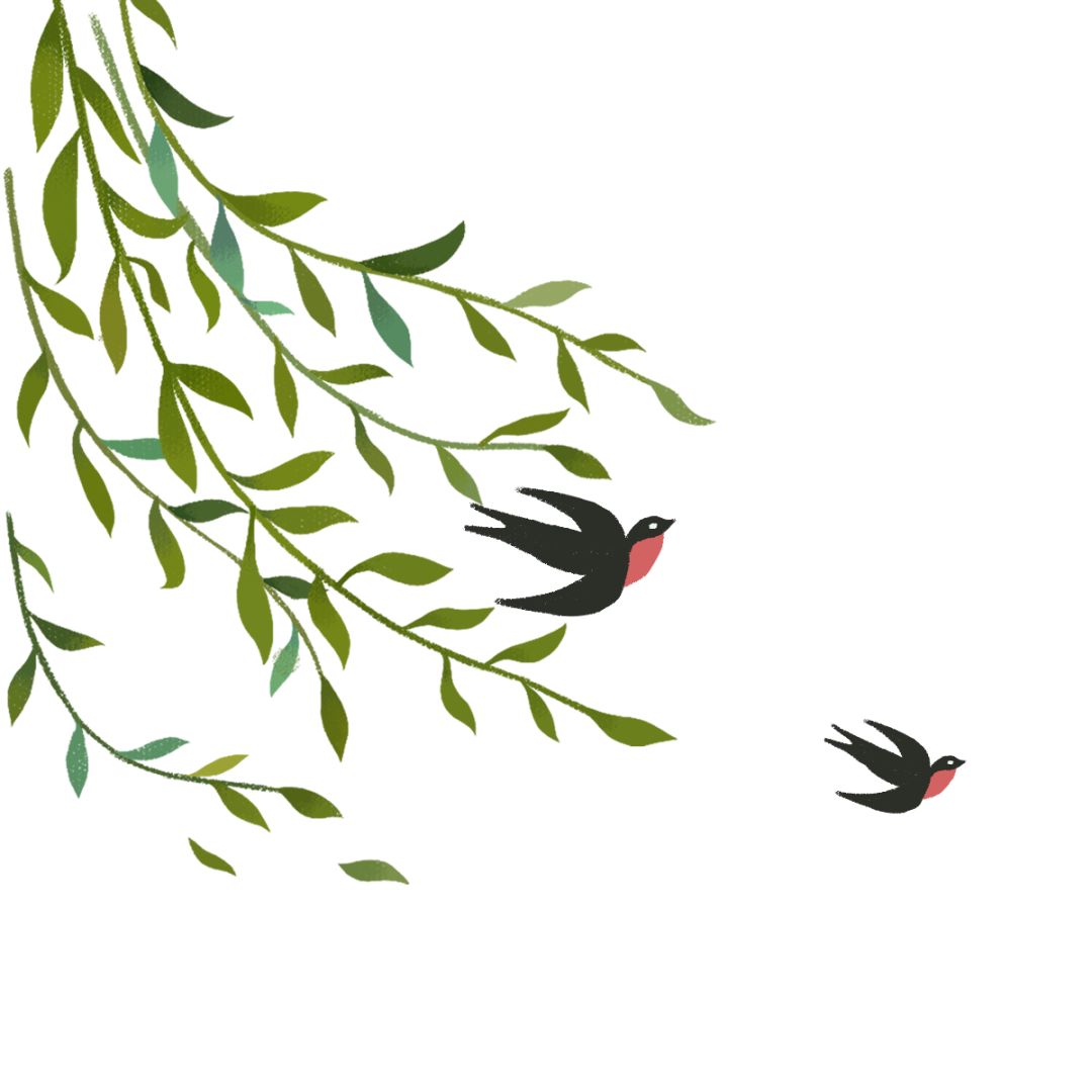 我爱小动物儿歌律动,小班儿歌律动小动物叫声