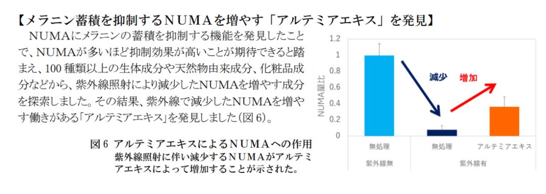 盘点4款大牌美白精华,美白精华合集8款
