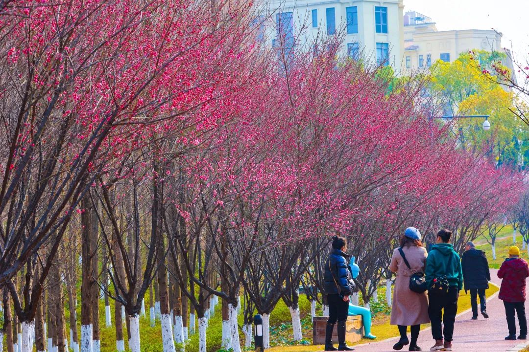 关于春天的古诗1000首,春天桃花古诗大全100首