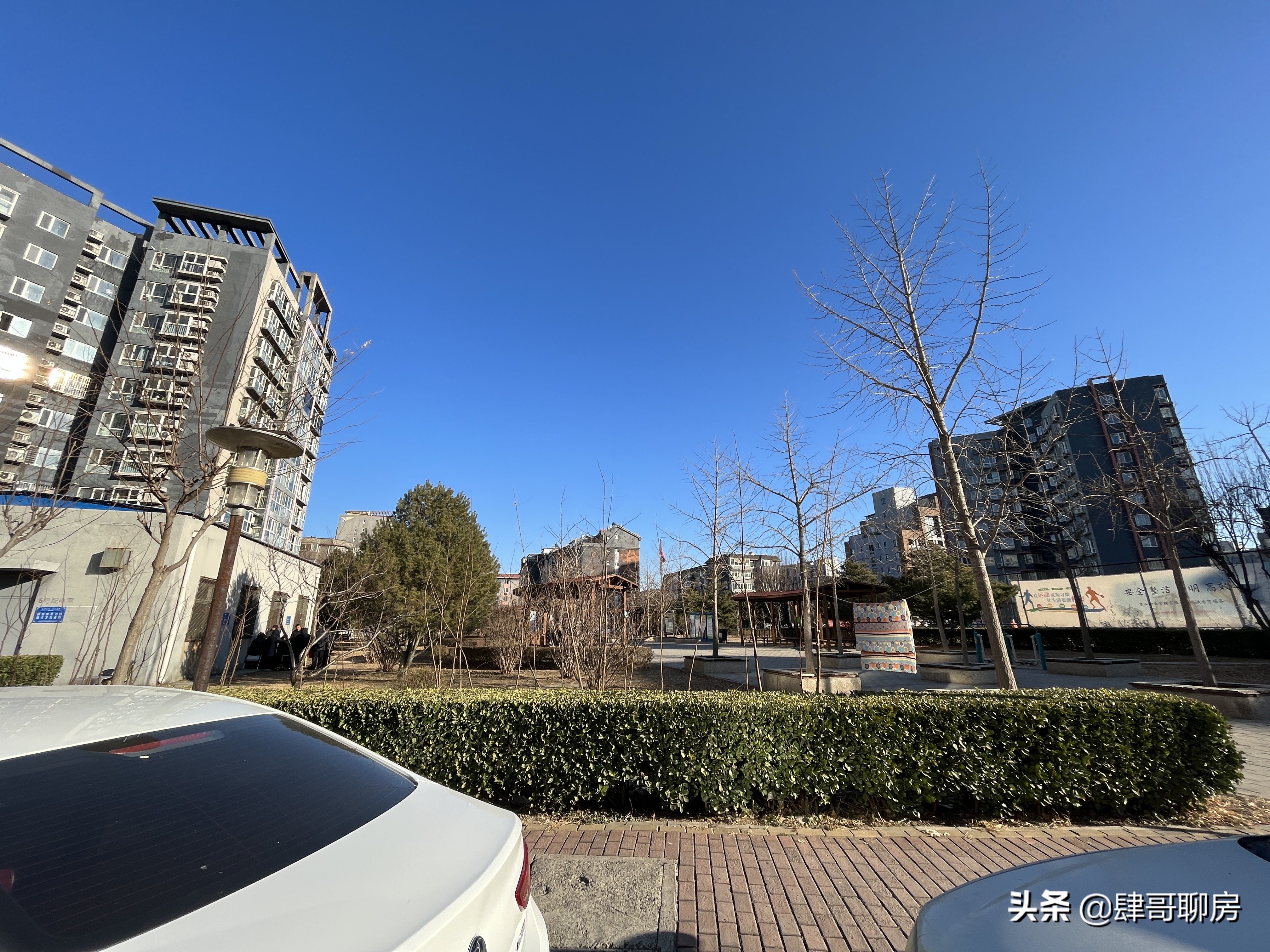 矩阵、流星花园和领袖慧谷-1