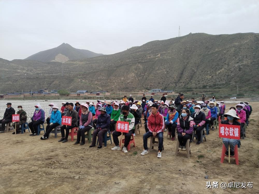 食用菌种植技术培训简报,卓尼县食用菌