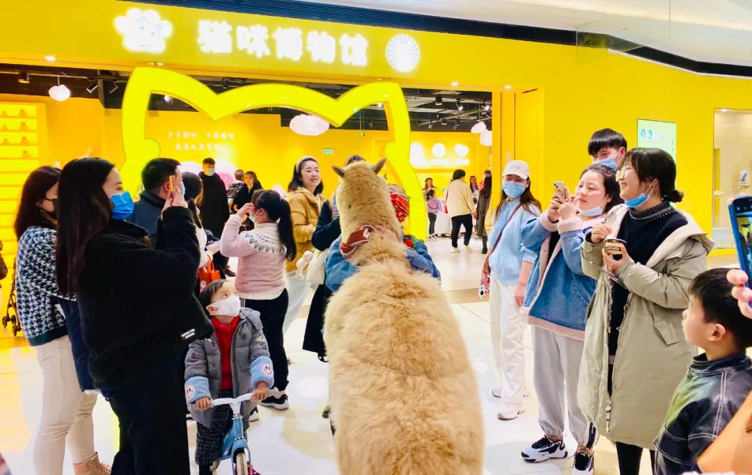 银泰旗下有哪些店,银泰商业旗下百货店有哪些