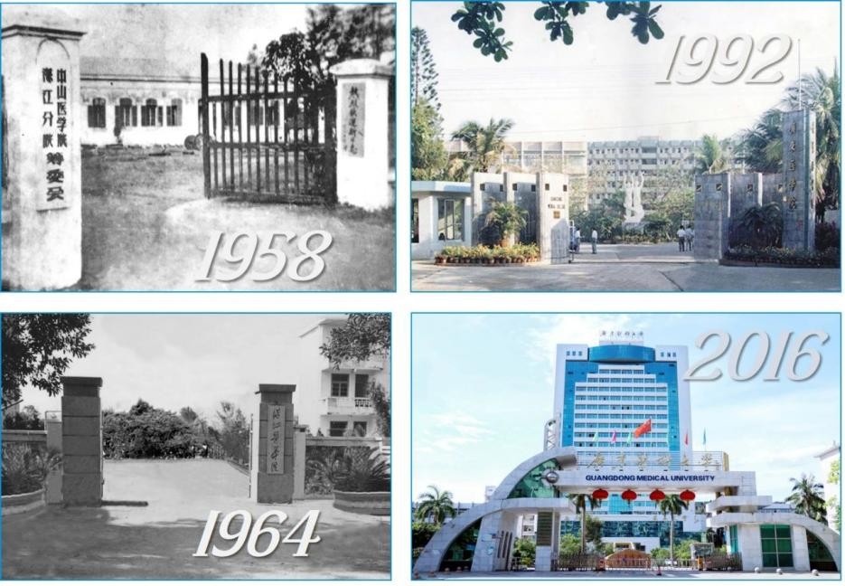 医者仁心悬壶济世孙思邈,悬壶济世系苍生医者仁心铸大爱