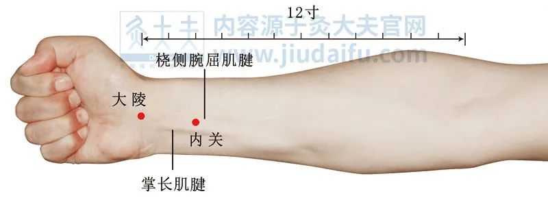 小儿长高灸什么穴,艾灸哪个穴位能帮助孩子长身高