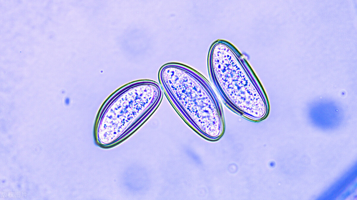 肛门潮湿瘙痒最快的解决方法,肛门潮湿发痒是什么原因引起的
