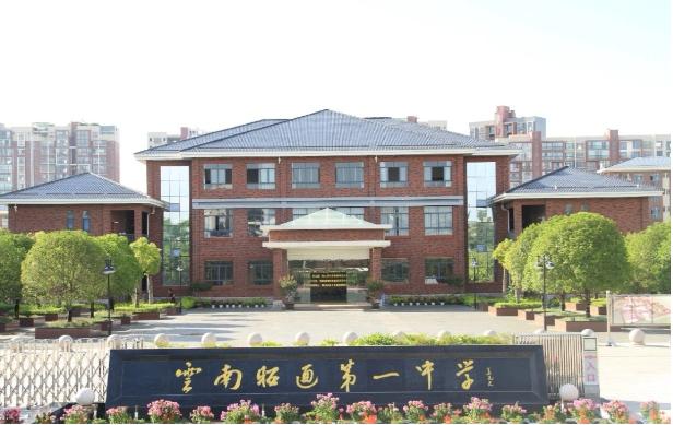 2020全国第一名状元云南高考,2023年云南临沧市高考状元