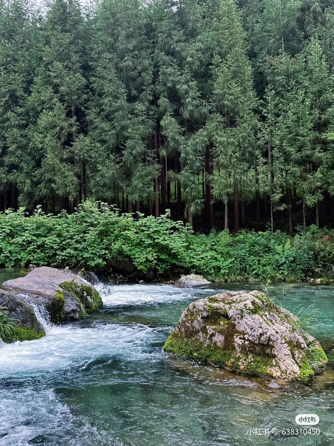 成都避暑带娃旅游景点推荐,成都夏天避暑露营哪里最凉快