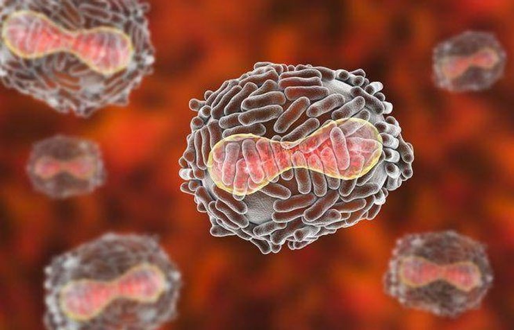 十大毁灭人类的病毒,地球上最强的5种病毒