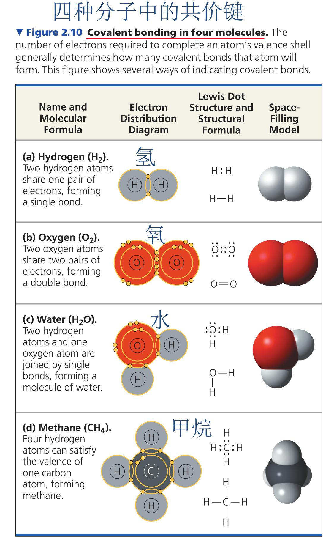 太阳每秒消耗多少吨氢,太阳一秒钟消耗400万吨氢