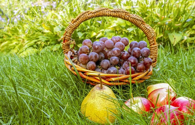 电商文案写作技巧有哪些内容,电商文案的写作步骤是怎样的