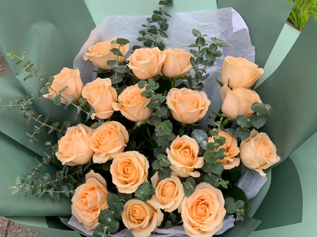 送玫瑰的含义和象征意义,送玫瑰给女孩代表什么意思