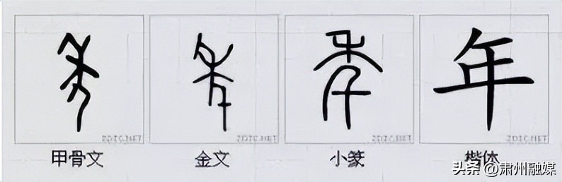 水平极高的演讲太精彩了,十大顶级经典演讲完整版