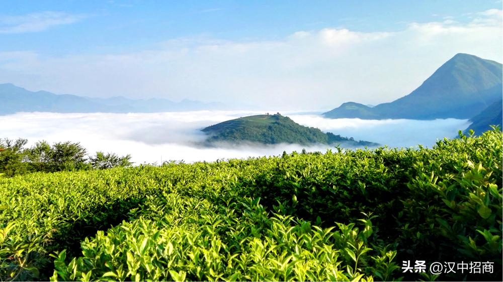 投资旅游项目合作方案,投资项目2024