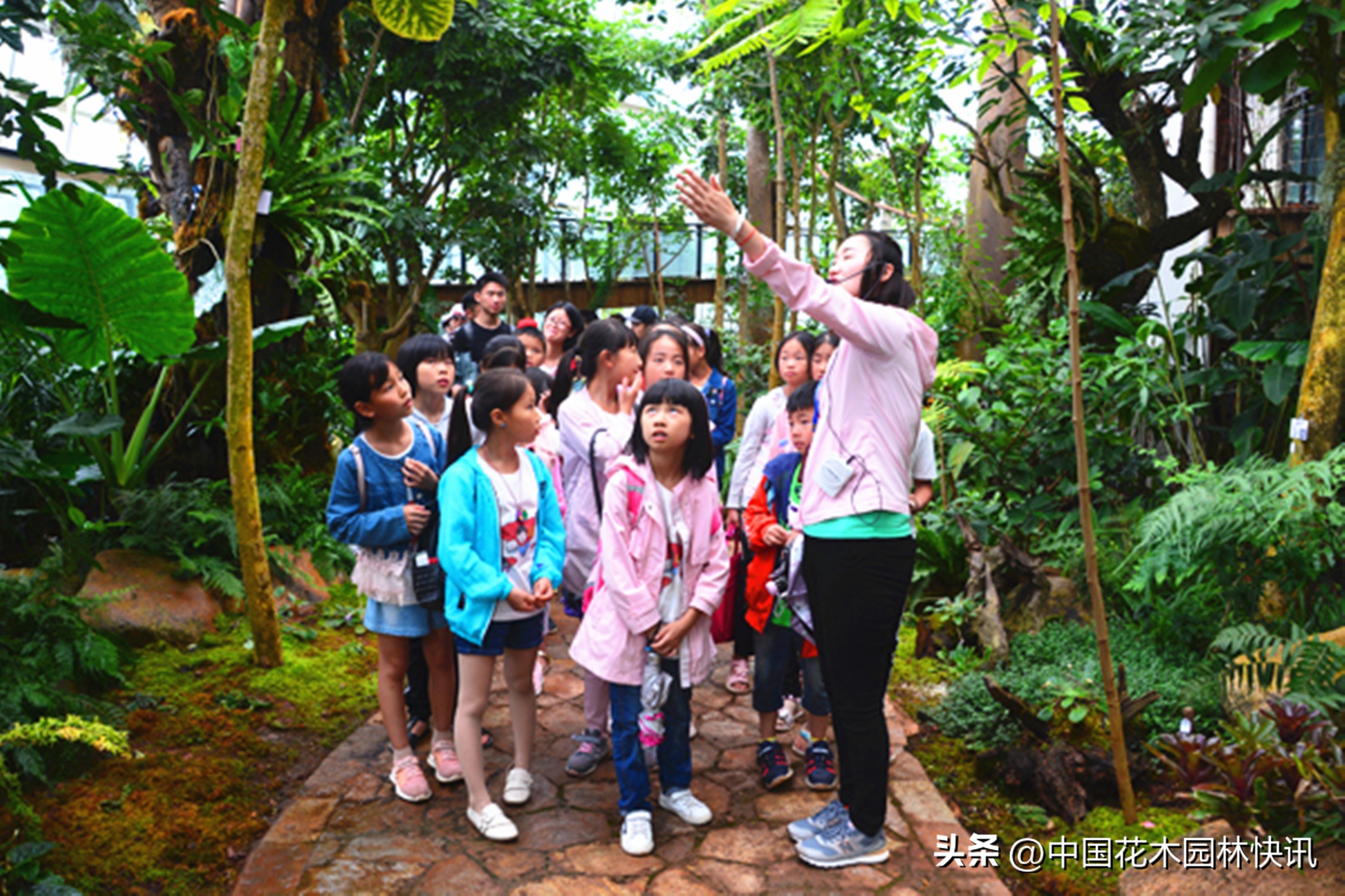 昆明植物研究所直播,云南省昆明市植物研究所