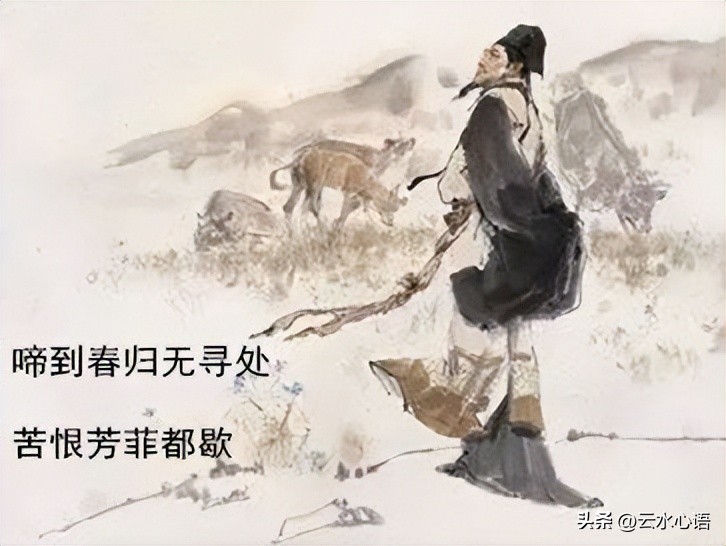 在辛弃疾贺新郎中的典故有哪些,辛弃疾贺新郎有几首词