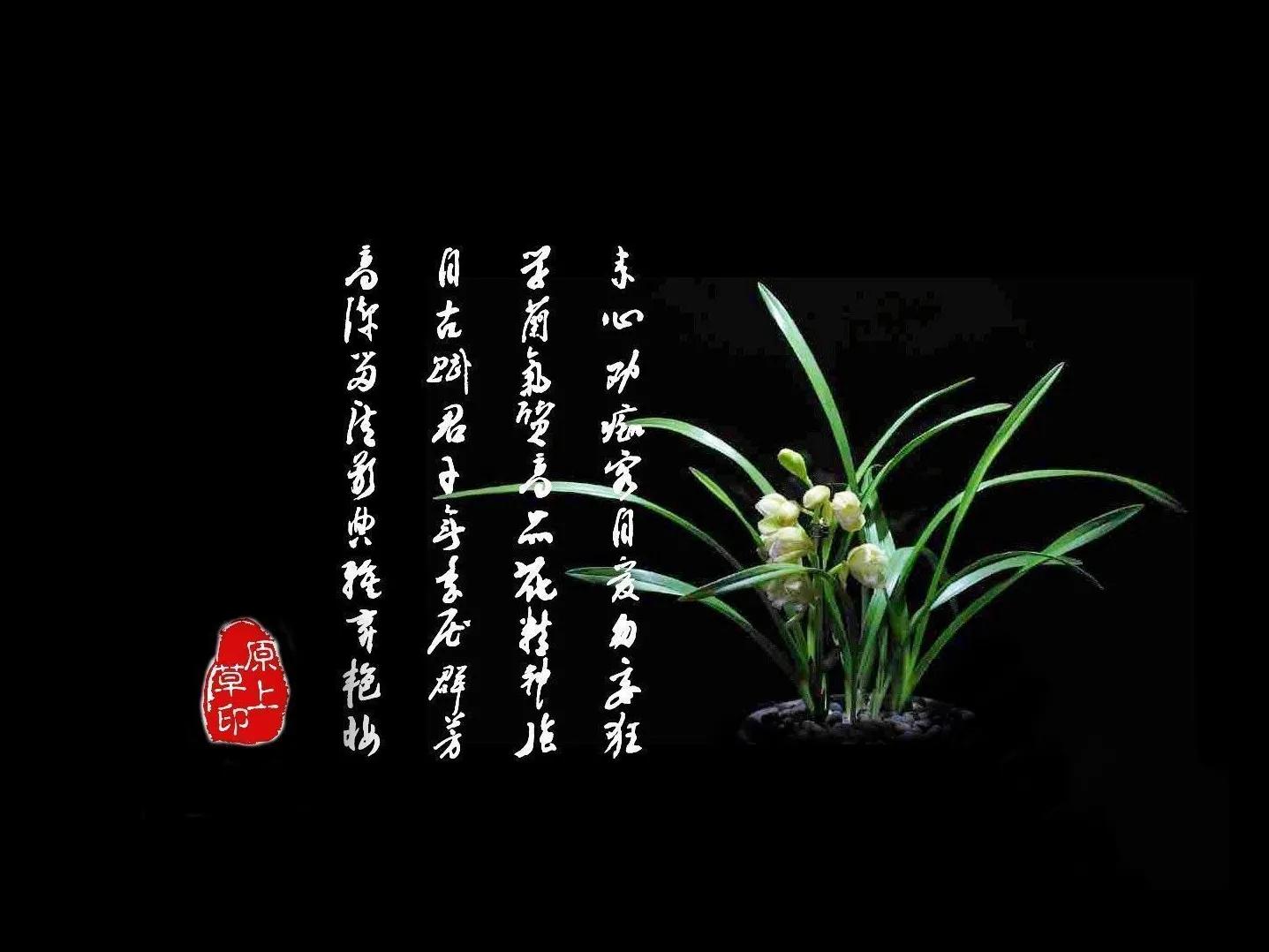 百花酿诗韵芬芳留人间（一）