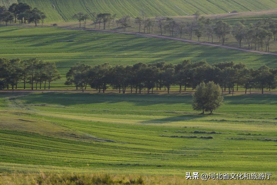 全国地形地貌最齐全的省份,全国地貌最全的省份