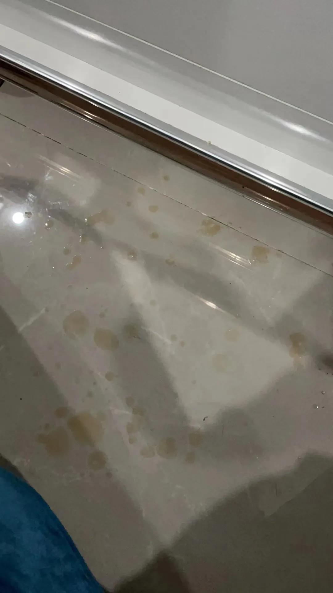 猫膀胱结石中医,治猫咪尿结石中药