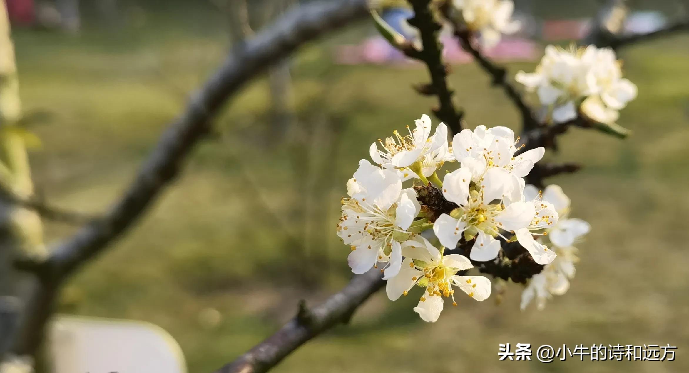 溜娃好去处就在紫谷萌宠乐园,青龙湖湿地公园遛娃攻略