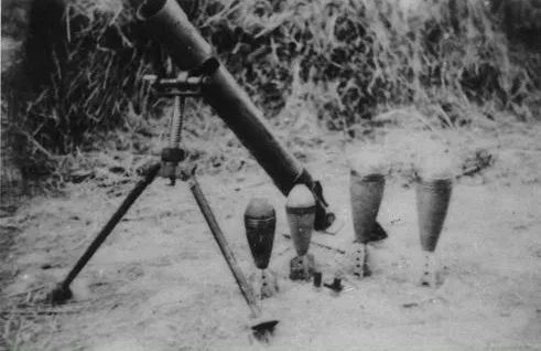 莱动柴油机历史,莱动前身