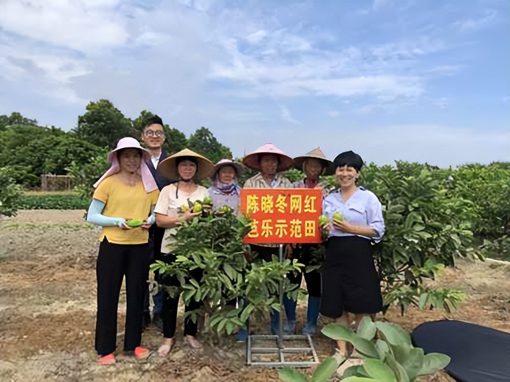一颗小番石榴,一颗小种子撬动乡村产业振兴