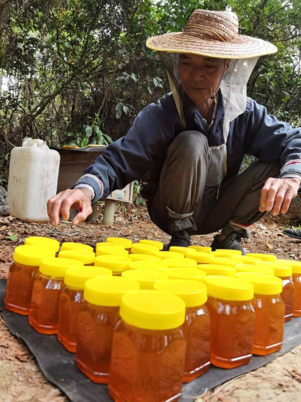 150元一斤深山养蜂蜜,100岁夫妻深山隐居养蜂吃蜜