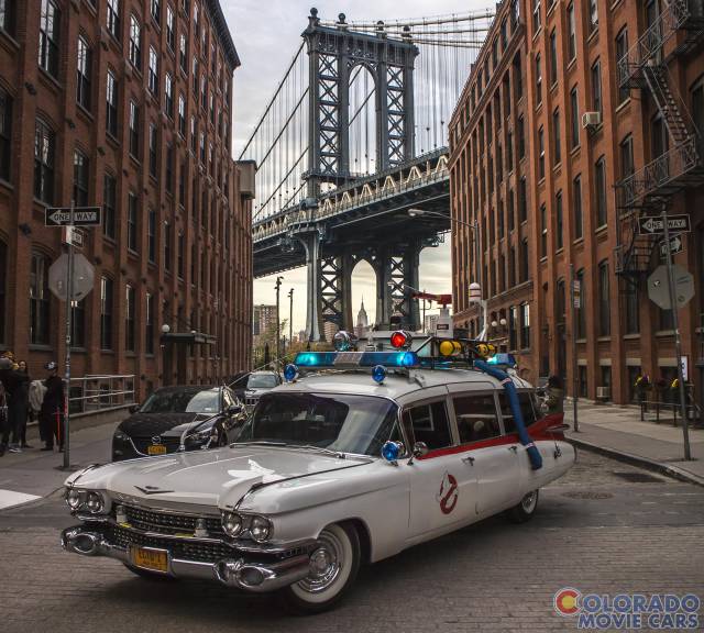 80个难得一见的图片,100个难得一见照片