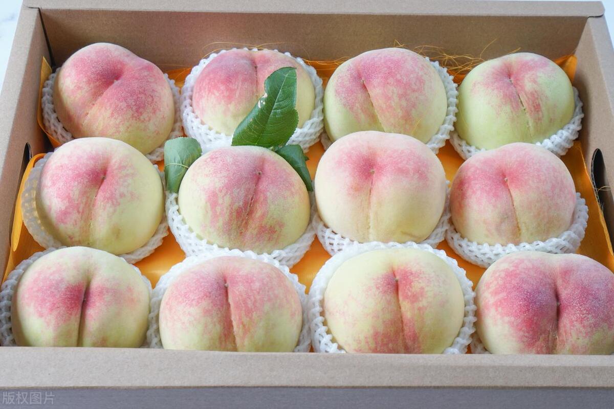 带你走进如画般的江南水乡,江南水乡无锡美如画