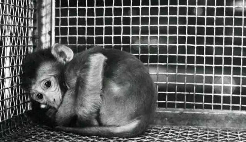 明明很爱孩子但是就是忍不住骂他,明明很爱孩子为什么忍不住打骂