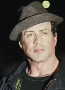 拳击手洛奇训练评价,拳击手洛奇深度解析