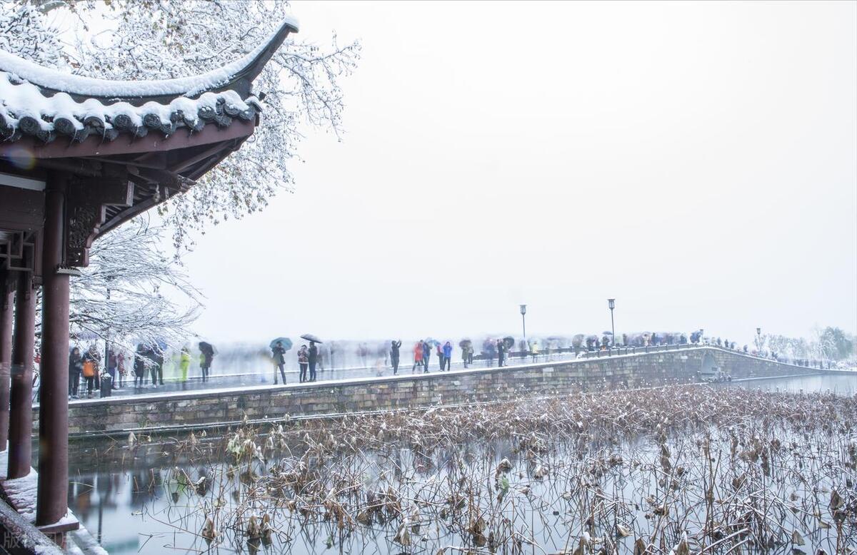 西湖十景介绍ppt,西湖十景介绍有收费的吗