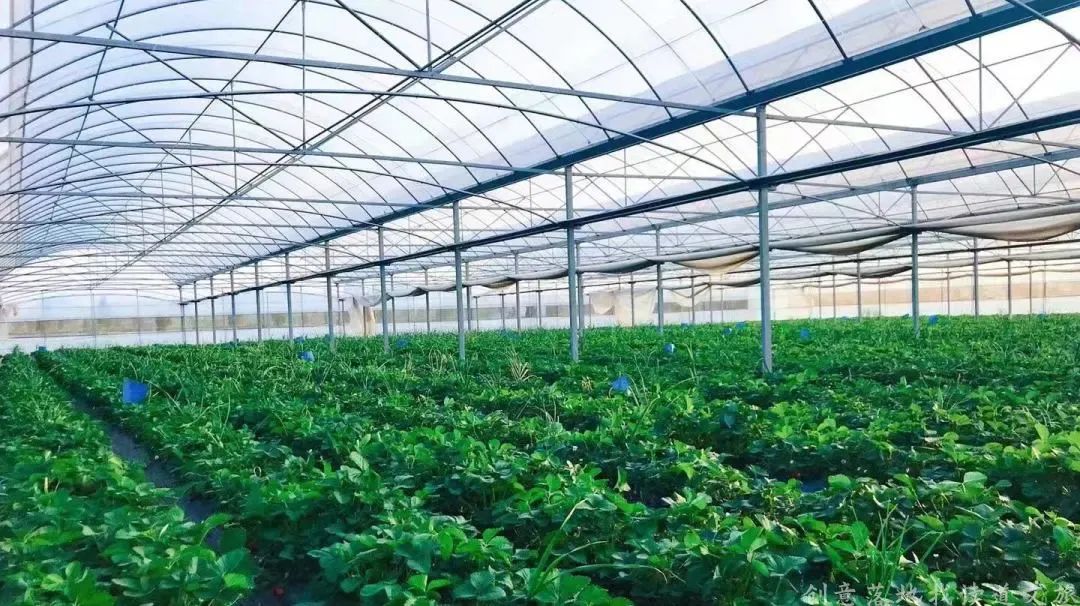 整村运营,整村运营顶层策划