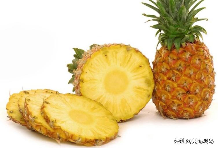 兰花被美国退货，台当局称会妥善处理，岛内民众批其搞“双标”