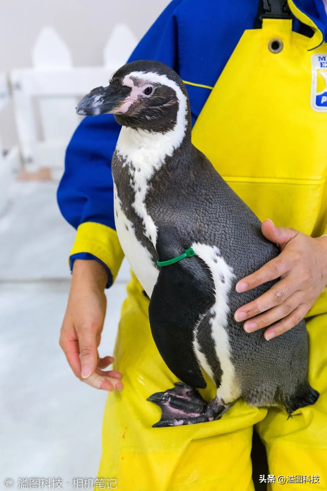 尼康d500的牛逼之处,尼康d5x00系列