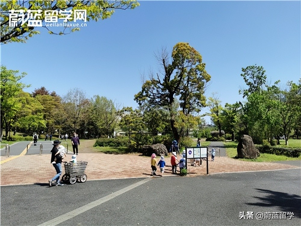 大学毕业去日本读研究生的申请条件和流程|蔚蓝留学