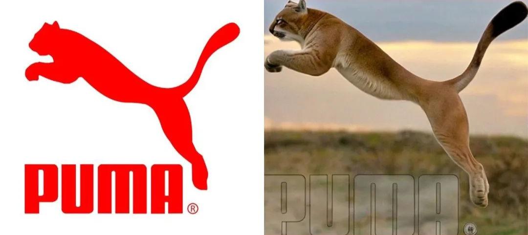 星巴克新logo,为什么星巴克换logo